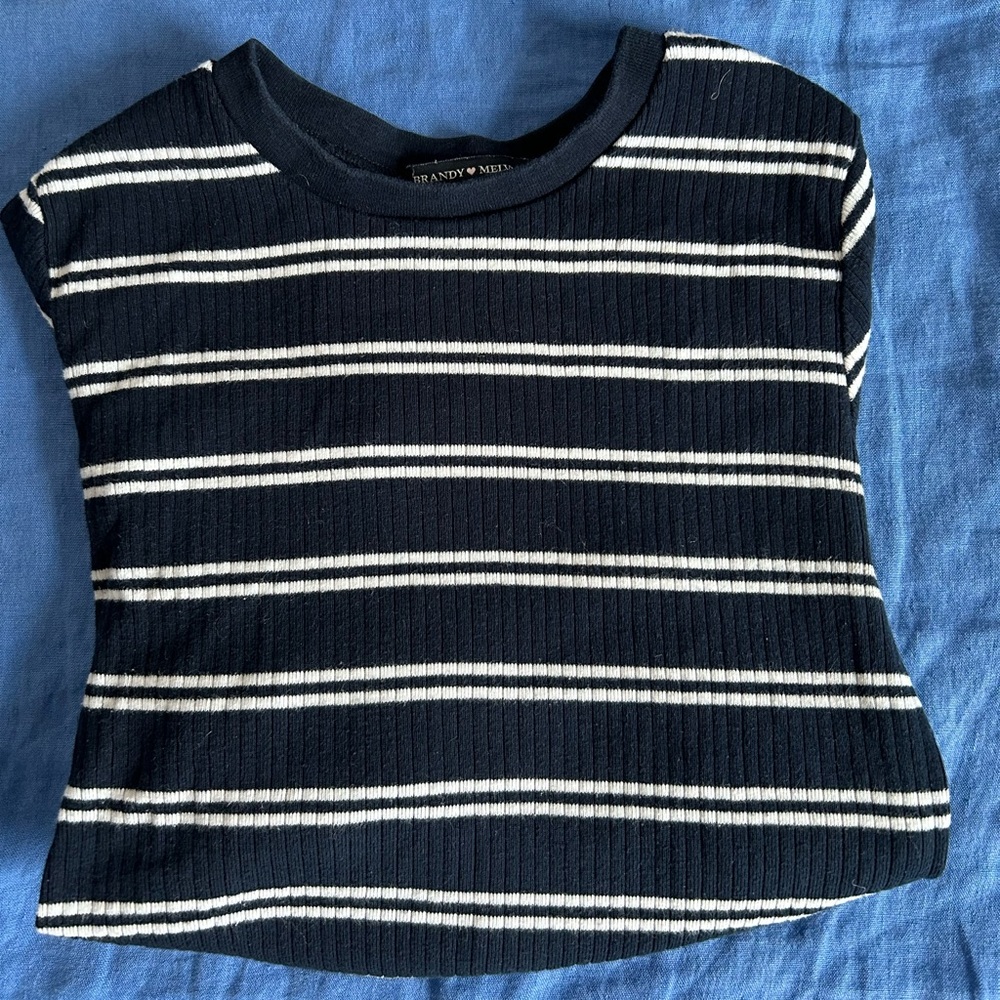 Striped Brandy Melville Long-Sleeve Crop